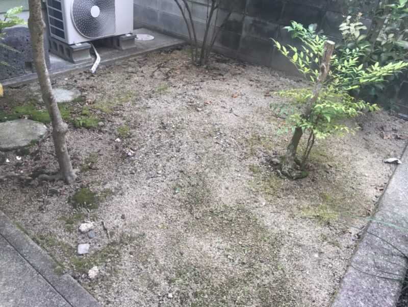 前の記事